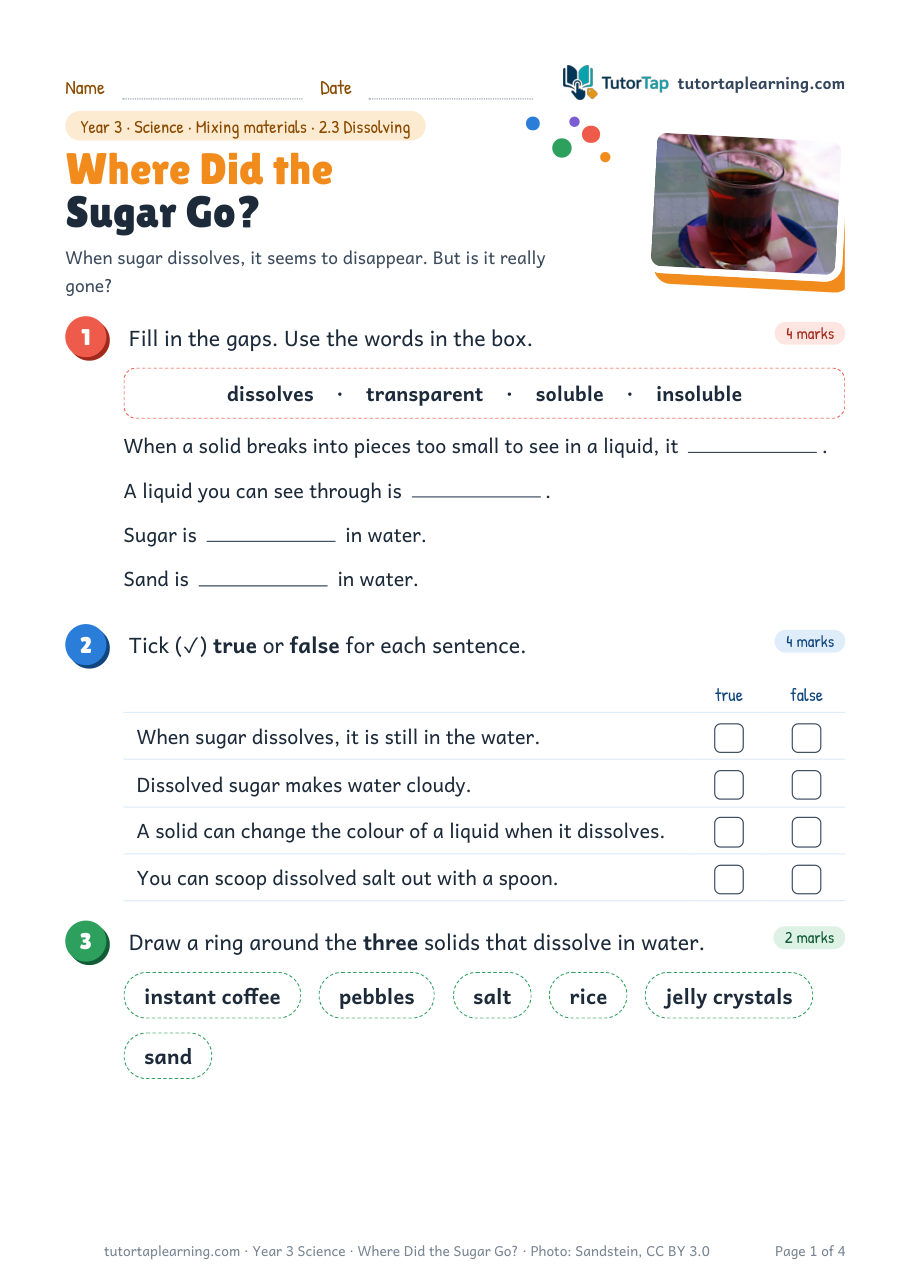 First page of Where Did the Sugar Go?