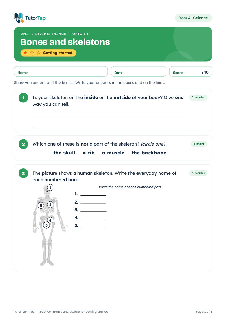 First page of the Bones and skeletons worksheet